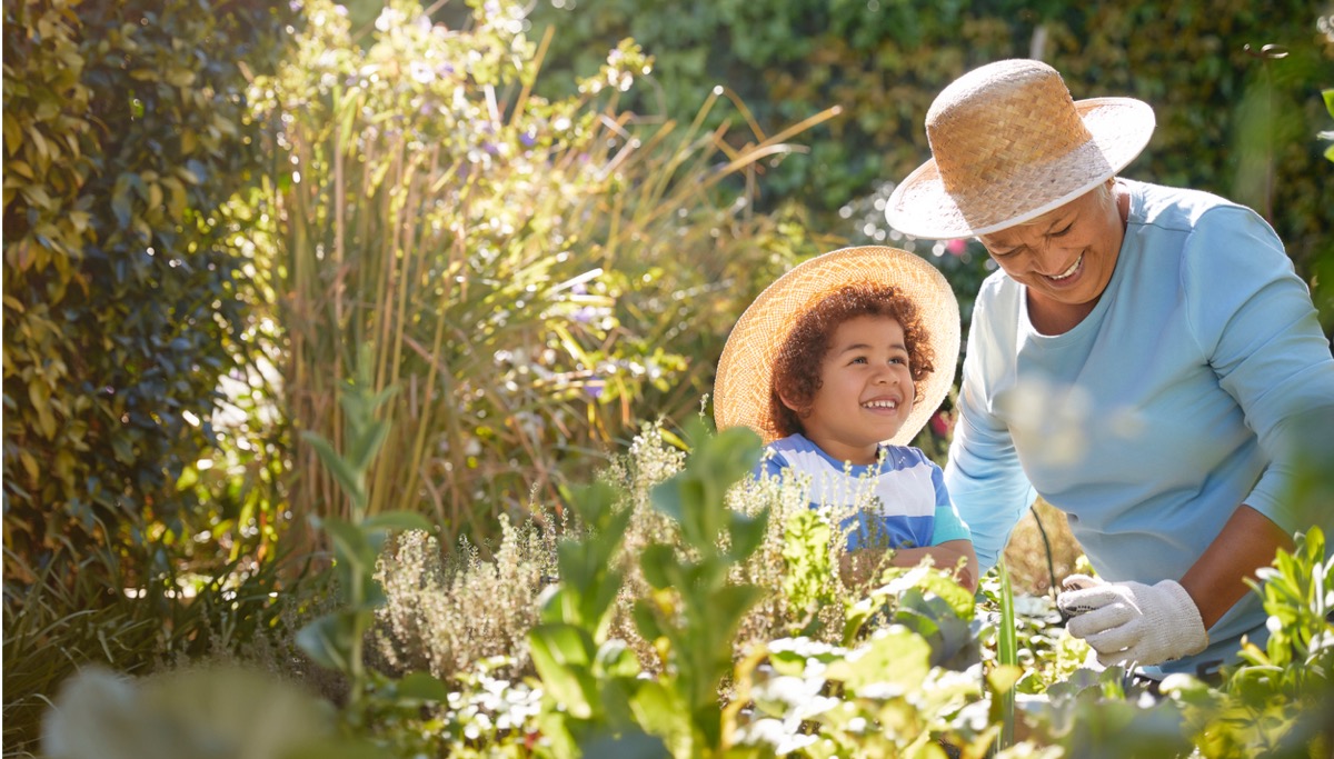 A grandmother and grandchild gardening