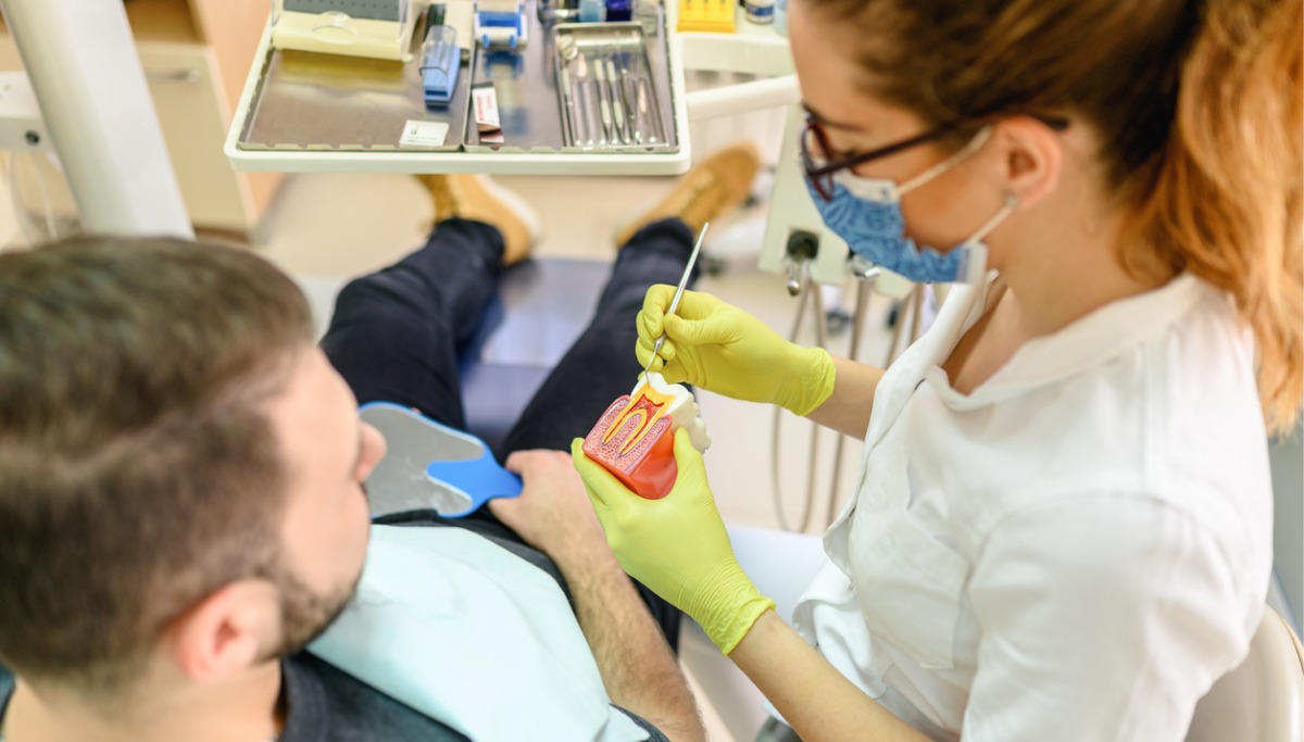A dentist showing a patient a model of a tooth