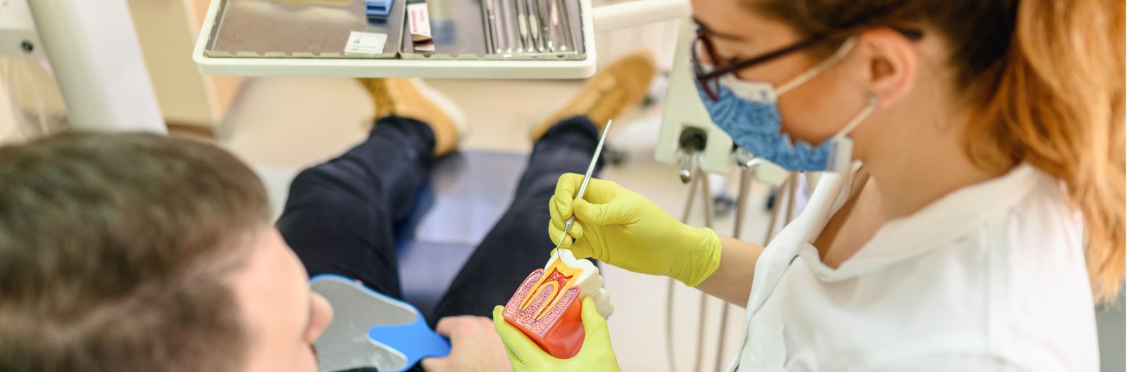 A dentist showing a patient a model of a tooth