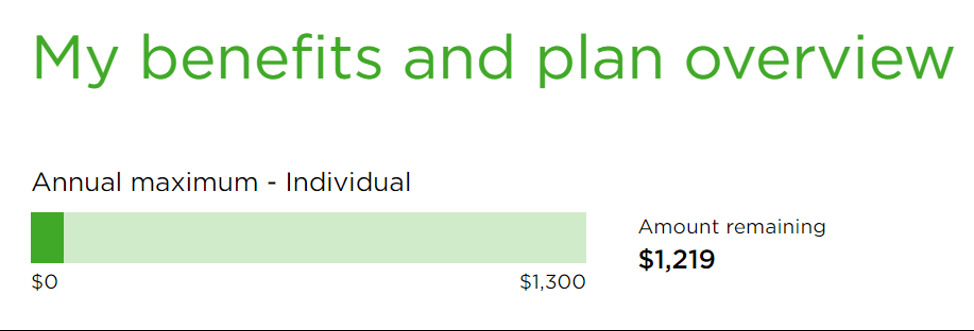 My benefits and plan overview. Graph showing the annual maximum for an individual of  $1,219 remaining of $1,300